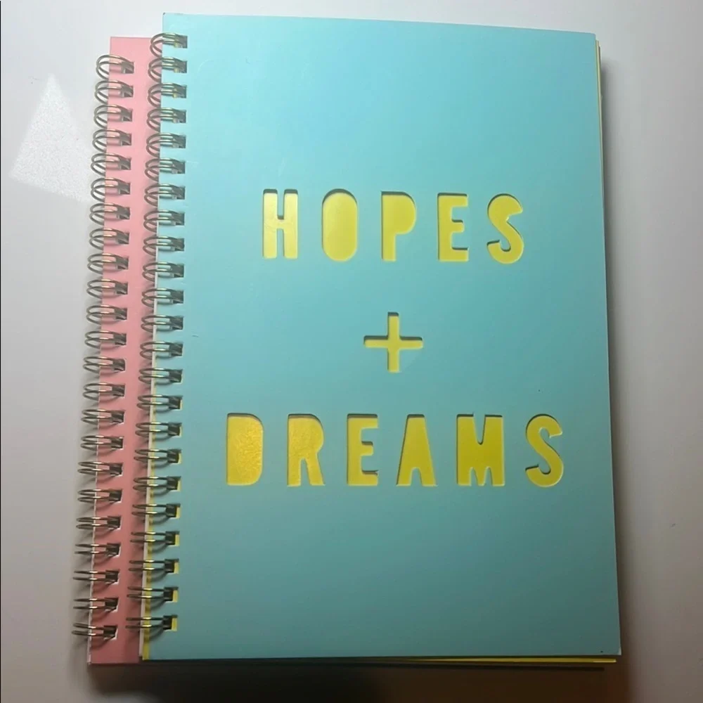 Set of 2 Pastel Pink and Blue Spiral Notebooks